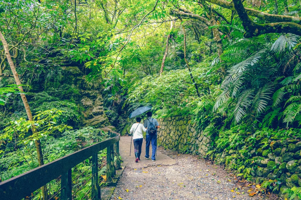couple walking under umbrella in the jungle